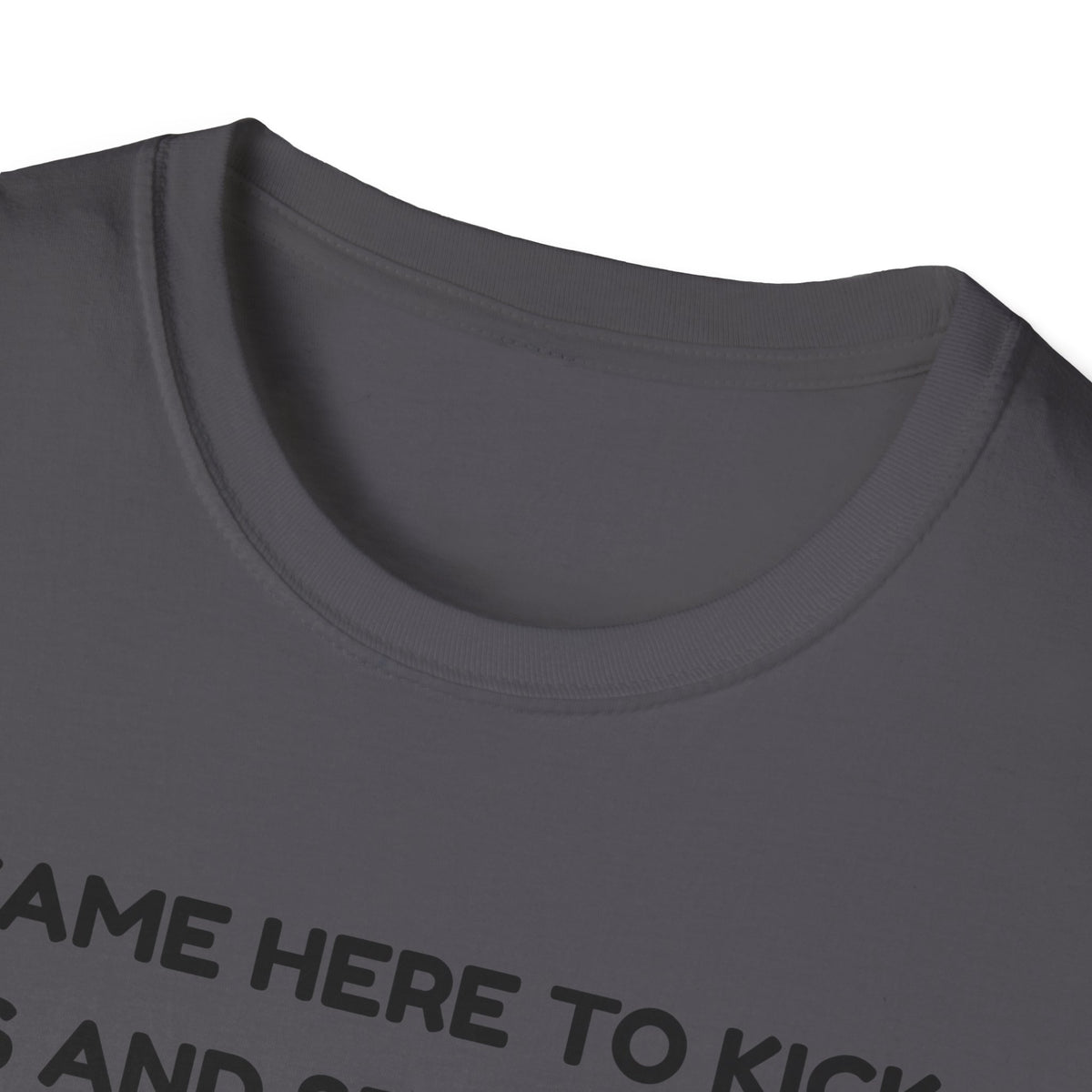 I came here to kick ass and seduce the Dragon | Funny Bard D&D T-shirt