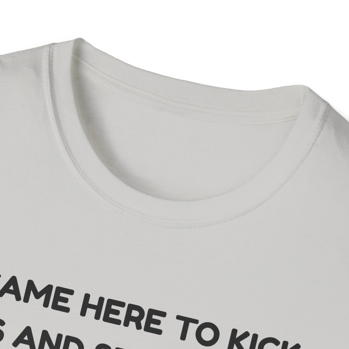 I came here to kick ass and seduce the Dragon | Funny Bard D&D T-shirt