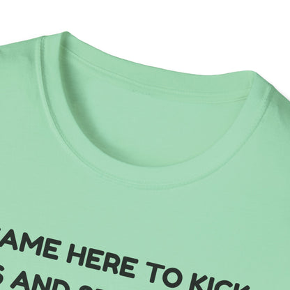 I came here to kick ass and seduce the Dragon | Funny Bard D&D T-shirt