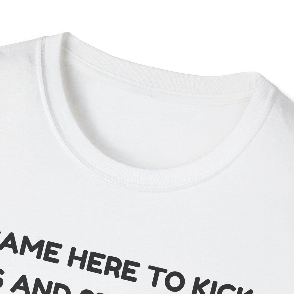 I came here to kick ass and seduce the Dragon | Funny Bard D&D T-shirt