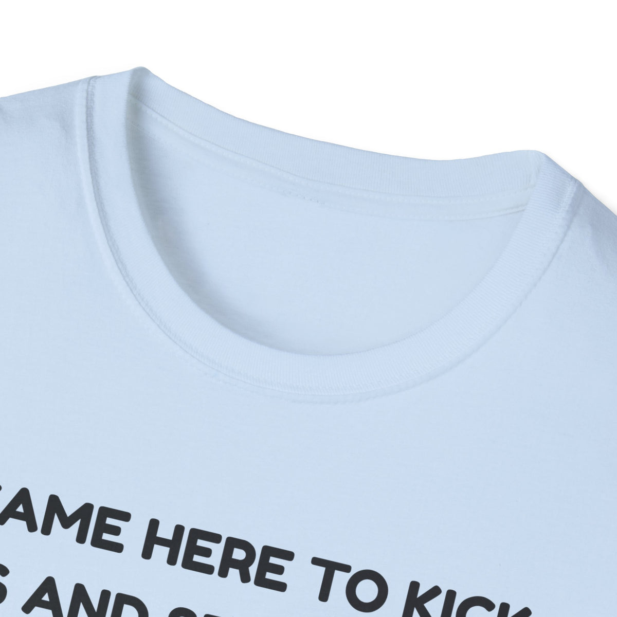 I came here to kick ass and seduce the Dragon | Funny Bard D&D T-shirt
