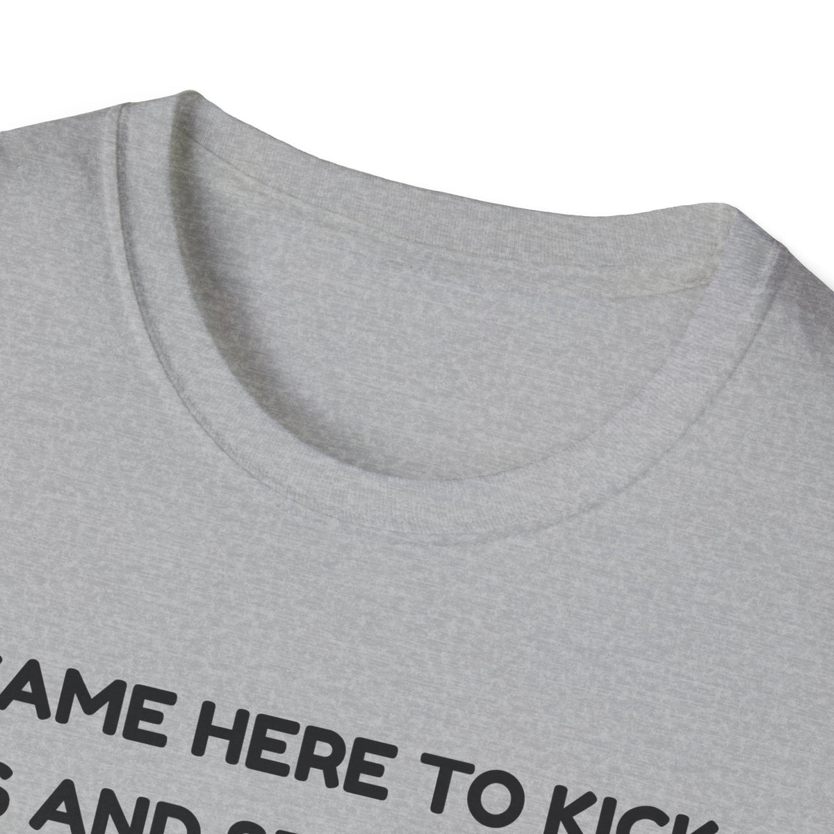 I came here to kick ass and seduce the Dragon | Funny Bard D&D T-shirt
