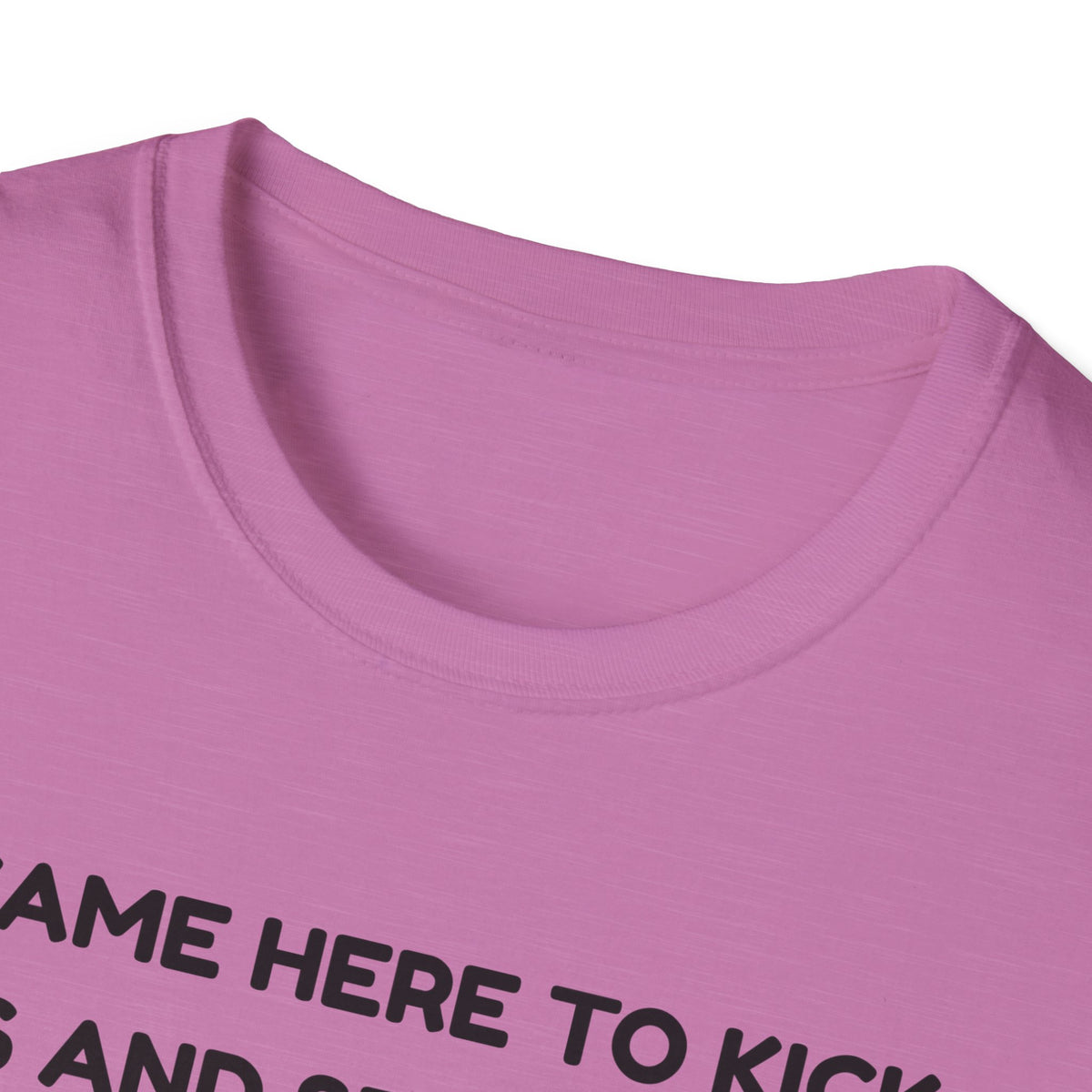 I came here to kick ass and seduce the Dragon | Funny Bard D&D T-shirt