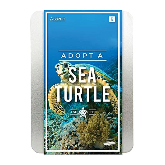 Adopt A Sea Turtle Unusual Gift