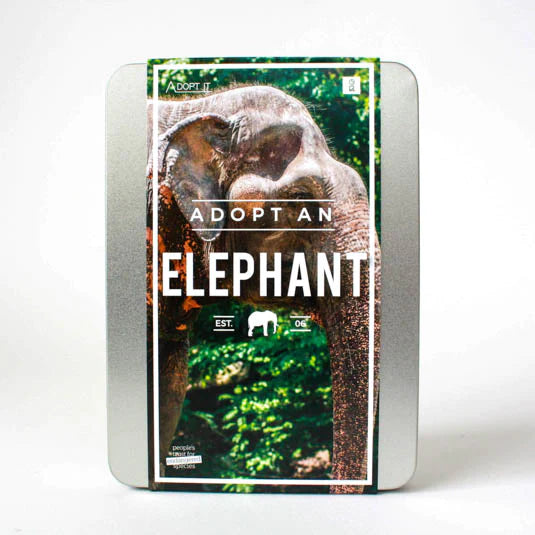 Adopt An Elephant Unusual Gift